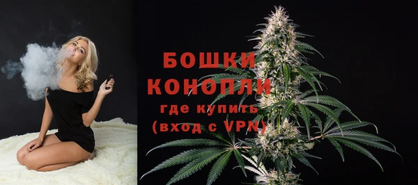 дурь Каменка