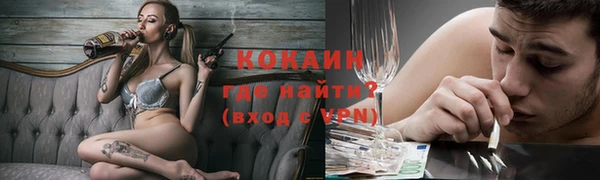 дурь Каменка