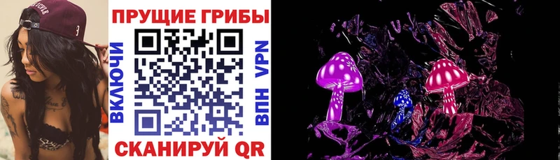 Купить закладки  Радужный  Псилоцибиновые грибы мицелий 